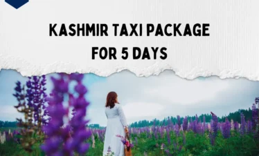 Kashmir taxi package for 5 days